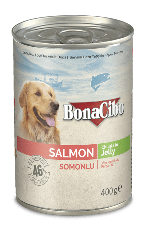 Bonacibo Adult Dog Salmon - Chunks in Jelly 400 g Canned