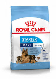 ROYAL CANIN MAXI STARTER PUPPY STARTER DRY FOOD 4KG